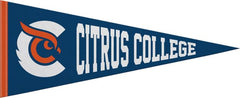 Citrus College 12X30 Full Color Pennant