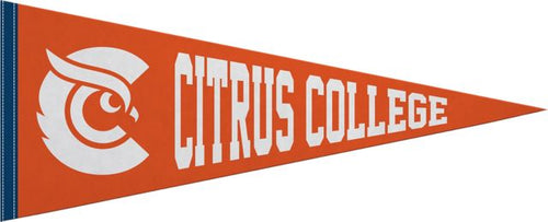 Citrus College 12X30 Full Color Pennant