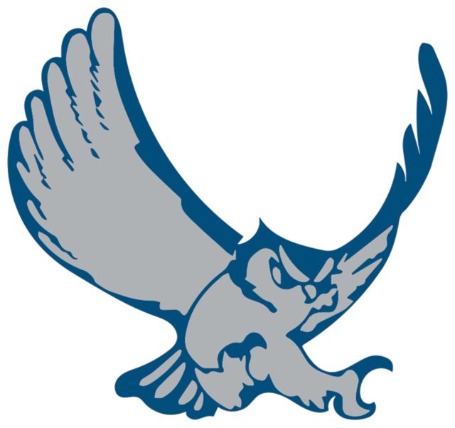 Citrus College Medium Decal Citrus College - Owl Mascot Decal - ONLINE ONLY